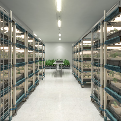 What Type of Shelving Does Your Cannabis Grow Need? What Type of Shelving Does Your Cannabis Grow Need?