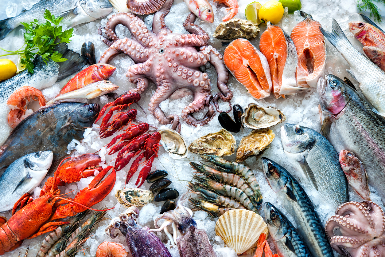 The Fresh Catch: Benefits of Using Fresh Seafood in Your Restaurant or Hotel