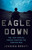 Eagle Down: The Last Special Forces Fighting the Forever War by Jessica Donati