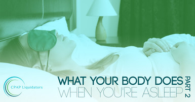 What Your Body Does When You're Asleep Part 2 What Your Body Does When You're Asleep Part 2