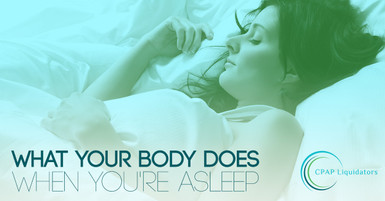What Your Body Does When You're Asleep What Your Body Does When You're Asleep