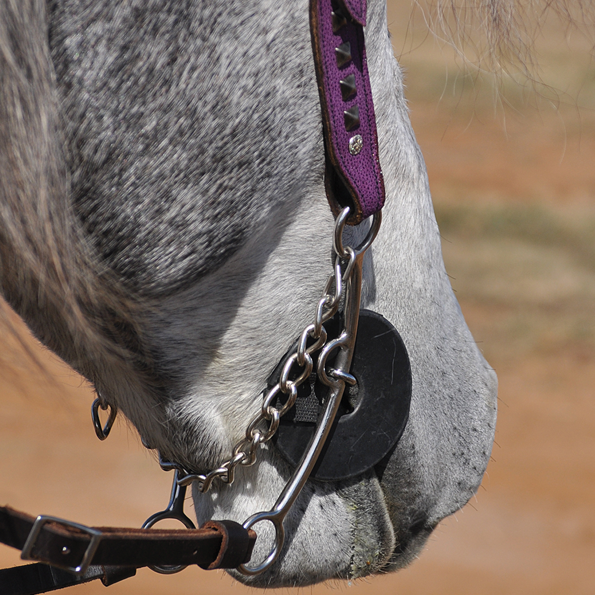 Bit Guard - Pro Roper Supply