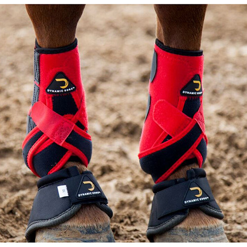 dynamic edge horse boots
