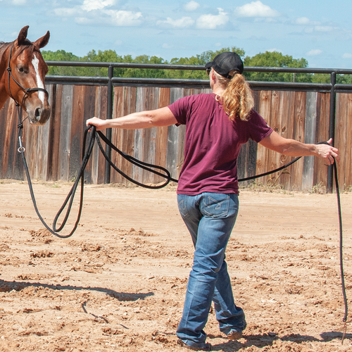 Premium Lunge Line 