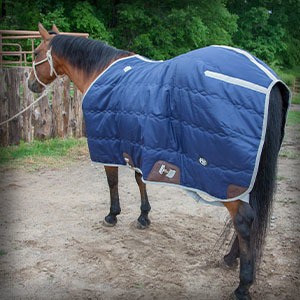 Cactus Gear Stable Blankets
