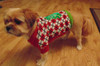 Chewie rocking the Argyle Christmas Tree Pet Sweater.
