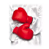 Red Boxing Gloves | Boxing | Accessories