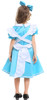 Alice in Wonderland Alice Dress | Alice in Wonderland | Childrens Costumes