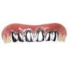 Billy Bob Silver Platinum Grillz Teeth | Fake Teeth | Prosthetics | Applications and Prosthetics