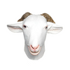 The GOAT Costume | Animals | Childrens Costumes