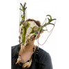 Voodoo Woodland Deer Skull Mask | Costume and Theatrical Masks