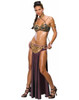 Princess Leia Slave Girl | Star Wars | Womens Costumes