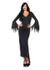 Ladies Gothic Dress Costume