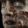 Zombie Rot 3D Water Applied FX Transfer | Tinsley | Applications and Prosthetics