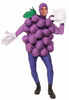 Purple Grapes Adult Costume