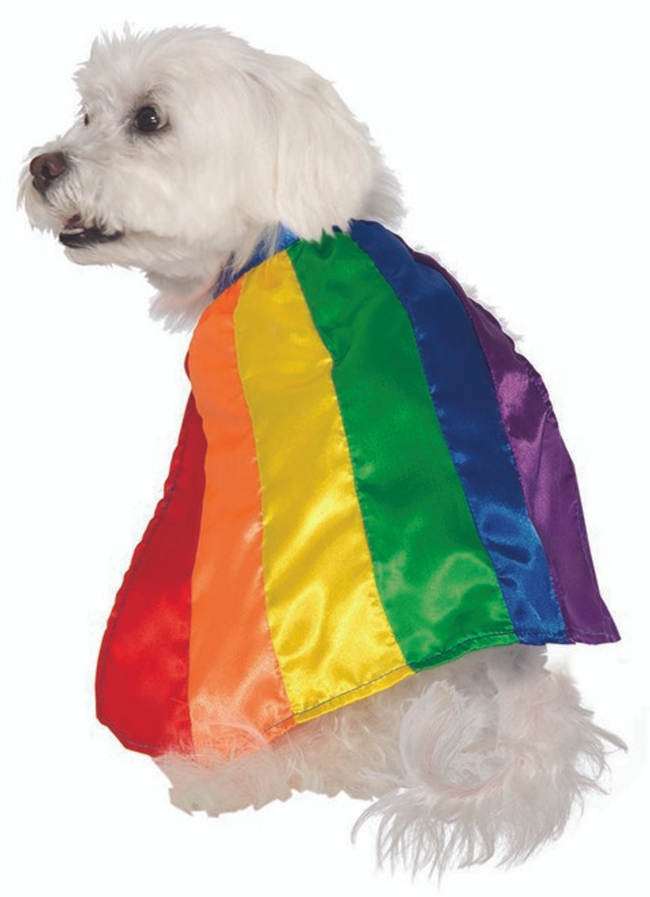 Pet pride отзывы. Pride Pet Union одежда. Rainbow Dog. Rainbow Pets.