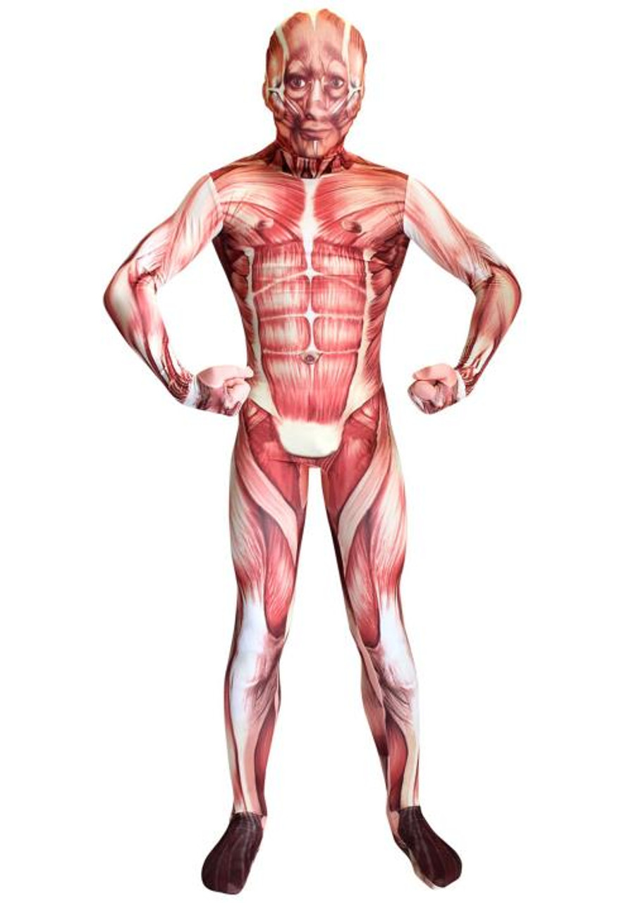 Human Muscle Anatomy Costume
