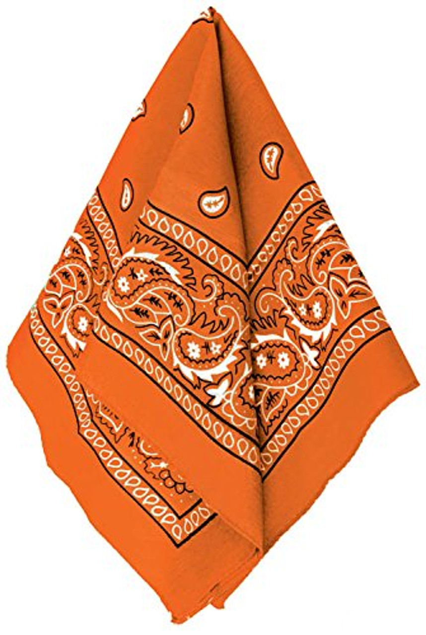 新品未使用 TIMEWORN CLOTHING BANDANA ORANGE Paisley Orange Bandana | Western | Hats and Headpieces - The