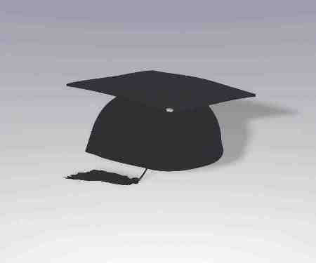 Novelty Felt Graduation Cap - The 