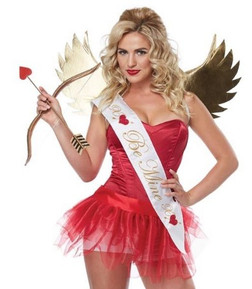 Adults Cupid Valentines Day Costume Kit