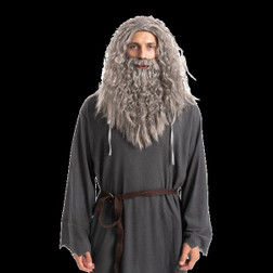 Wizard Wig with Beard Grey
