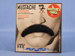 Bad Guy Moustache | Makeup