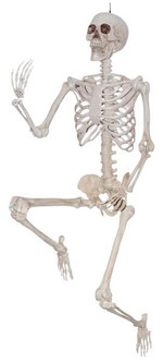 Skeleton Poseable 60" | Halloween | Décor 