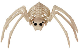 Spine Chilling Spider Skeleton | Halloween Decorations | Decor