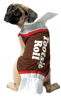 Dog Tootsie Roll Costume