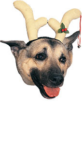 Christmas Reindeer Antlers for Dogs