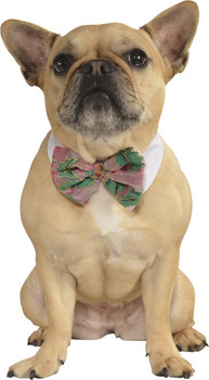 Pet Poinsetta Bow Tie