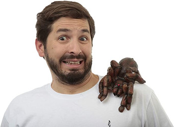 Tarantula Ghoulish Buddy | Halloween | Accessories