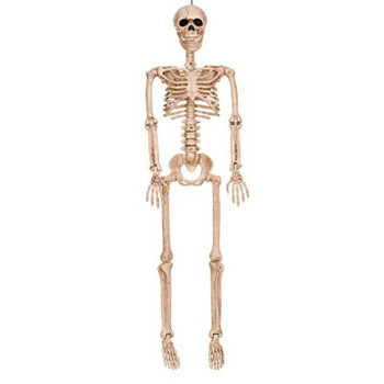 36 Inch Poseable Skeleton Decor | Halloween Decor | Novelty and Decor
