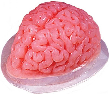 Brain Gelatin Mold | Casting | Cosplay Supplies | Cosplay Supplies | Cosplay Supplies and Tools