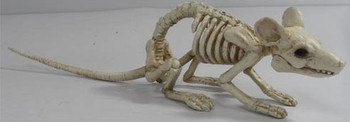 Laying Mouse Skeleton 5 Inch Decor | Halloween Decor | Novelty and Decor