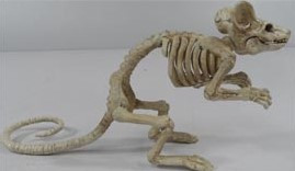 Crouching Mouse Skeleton 5 Inch Decor | Halloween Decor | Novelty and Decor