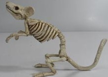 Standing Mouse Skeleton 5 Inch Decor | Halloween Decor | Novelty and Decor