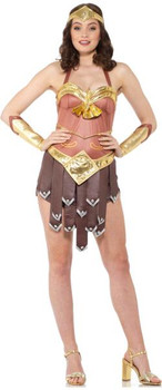 Wonder Woman Inspired Gladiator Girl Costume | DC | Womens Costumes