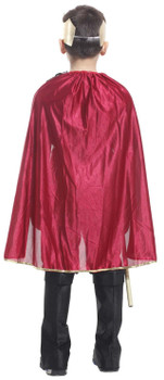 Knight King Kid Costume | Medieval | Childrens Costumes