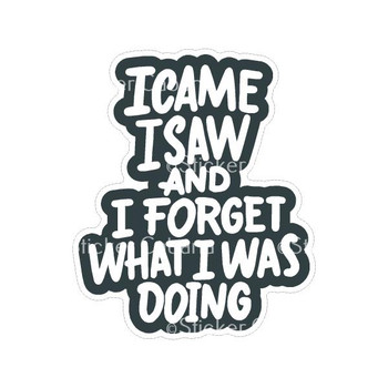 I Came I Saw And I Forget What I Was Doing | Sticker Cabana | Vinyl Stickers