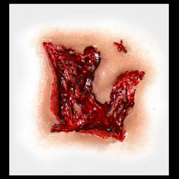 Small Gouge 3D Water Applied FX Transfer | Tinsley | Applications and Prosthetics