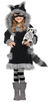 Sweet Raccoon Toddler Costume | Animals | Childrens Costumes | Consignment