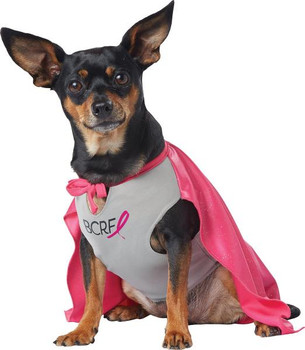 My Bcrf Hero | Misc | Pets