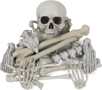 Life Size Human Skeleton Bag Of Bones Decor | Halloween | Decor