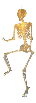 5 ft Posable Light Up Skeleton | Halloween Decor | Novelty and Decor