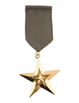 Army Gold Star Medal | Costume Accessories and Kits