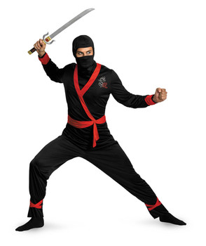 Ninja Master Costume