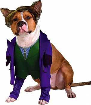 The Joker Pet Costume