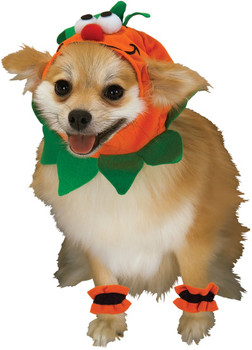Halloween Pumpkin Small Dog Pet Costume