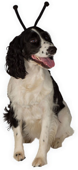 Halloween Pet Bug Antennas